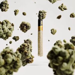 Alternative view of Hitz Prerolls ( Solventless Live Rosin )